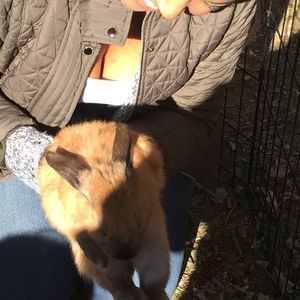 Meet your Posher, Shania ann